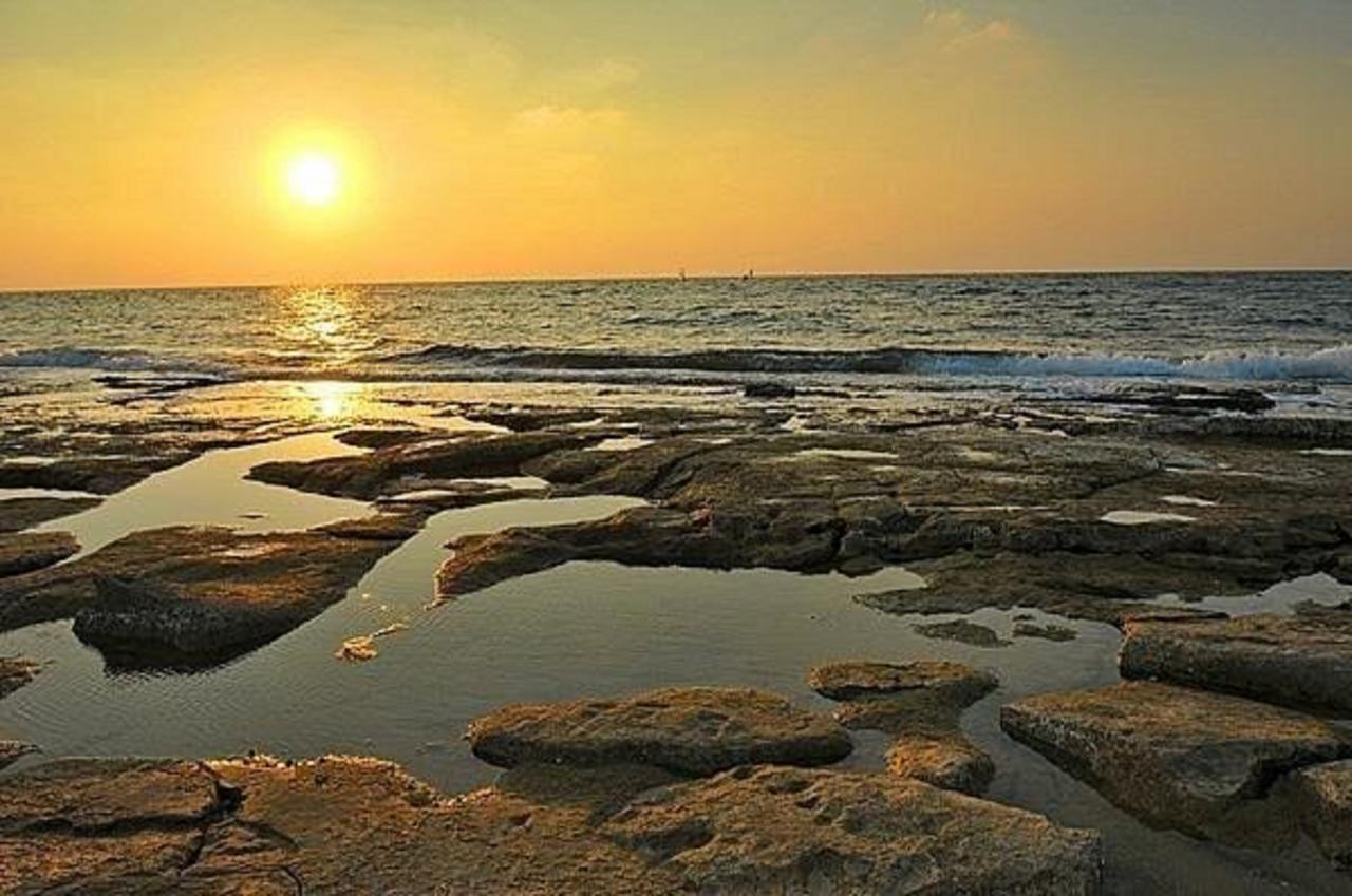 Lodge On The Sea شافيه زيون المظهر الخارجي الصورة